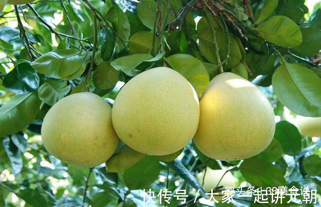 维生素b|立秋后,晚上当零食吃一点,色斑淡了,头发黑了,早食早好