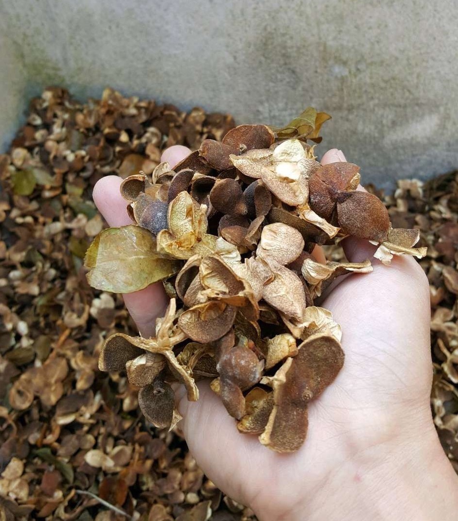 无论南方北方,养花选“1种”壳,基质疏松肥沃,轻松长爆盆