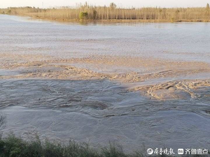 大海|青未了丨致敬大海