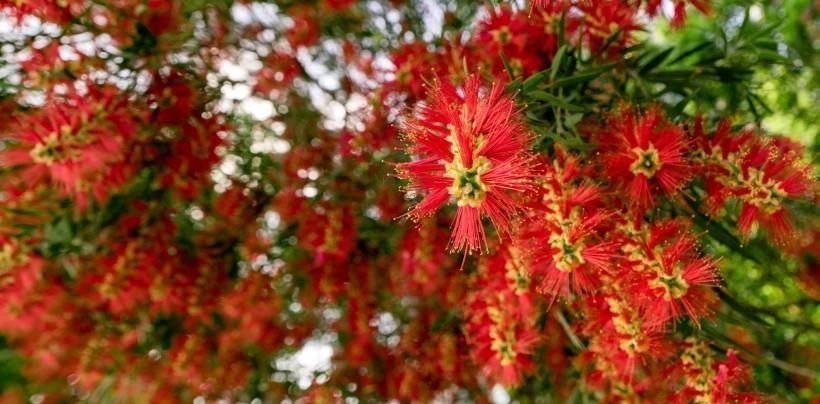 买彩|横财来临,财神追着跑,运气太好了,买彩必中头奖3生肖