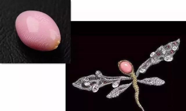 漫游者!一颗珍珠卖上亿,世界上最负盛名的5件珍珠,长什么样?什么价?