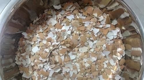 拿到蛋壳别急着养花,按“这要求”处理,给植物施肥才不出问题