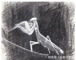 洪拳|中国历史中流传下来的那些“武功”,谁说这些都是假的