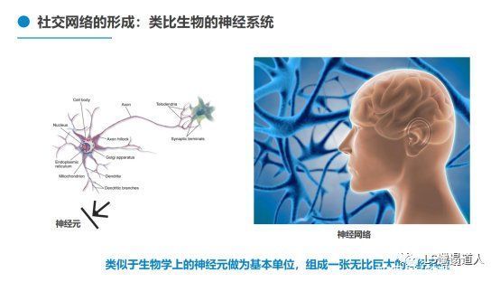 社交软件|从社会学概念，微信面向竞争者们的非对称式竞争，看社交是什么