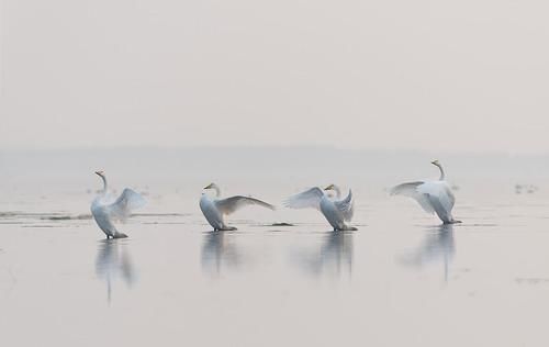 这3个适合穷游旅行的海边城市，你都听过吗？有明星同款蜜月圣地