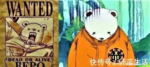 海贼团|海贼王悬赏金倒数前5名,战力像是反着排的,乔巴战力遥遥领先