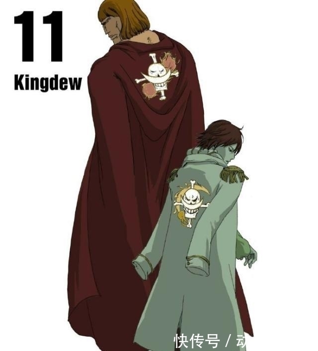 队长|海贼王:白团16位队长简介,顶上战争中放水的有几位?