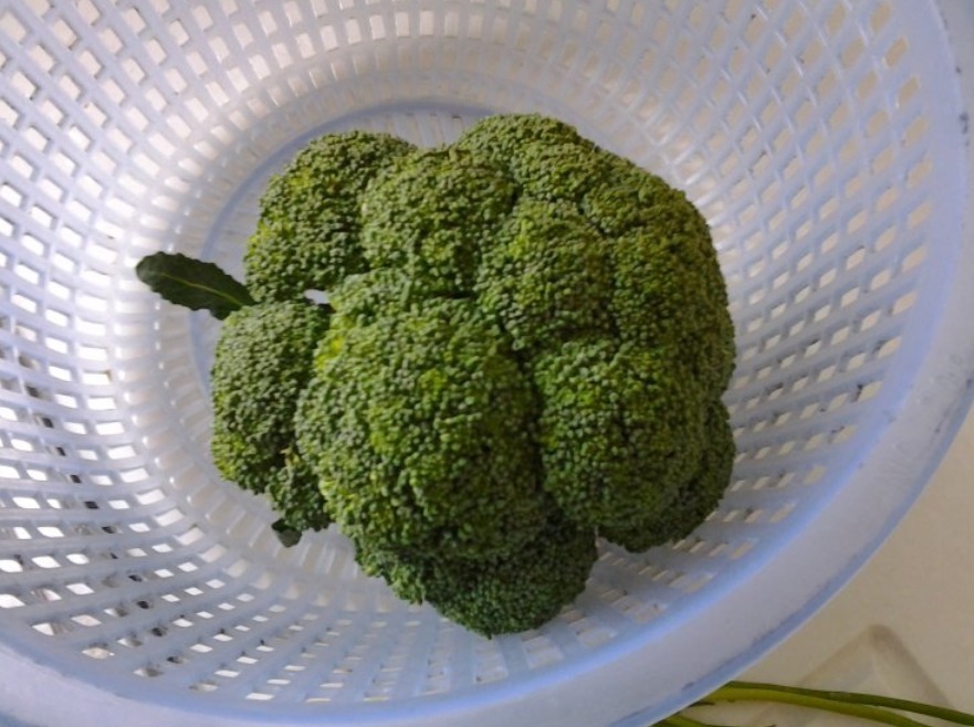 炒西兰花时，要不要先焯水一直没弄明白，难怪又黄又蔫，不干净