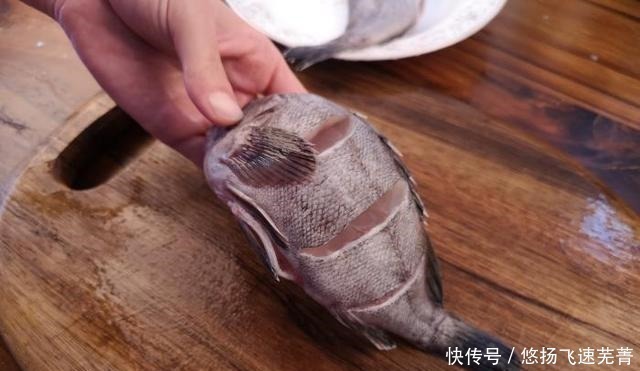 嫌弃|这鱼因长得丑被“嫌弃”,懂行的才会买,才8块钱1斤,比带鱼还鲜