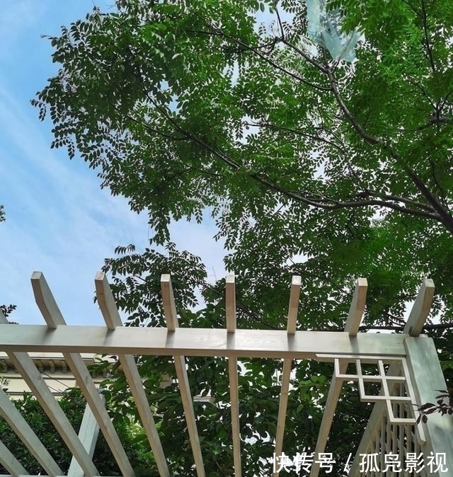 汀步|把70㎡庭院往下挖一层,与地下室连在一起,高低错落能当3个院子用