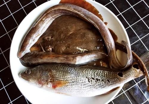 哪里海鲜好吃？