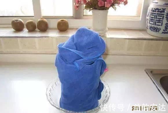 家里的塑料油桶别扔，有3个“妙用”，种菜效率高，扦插生根快