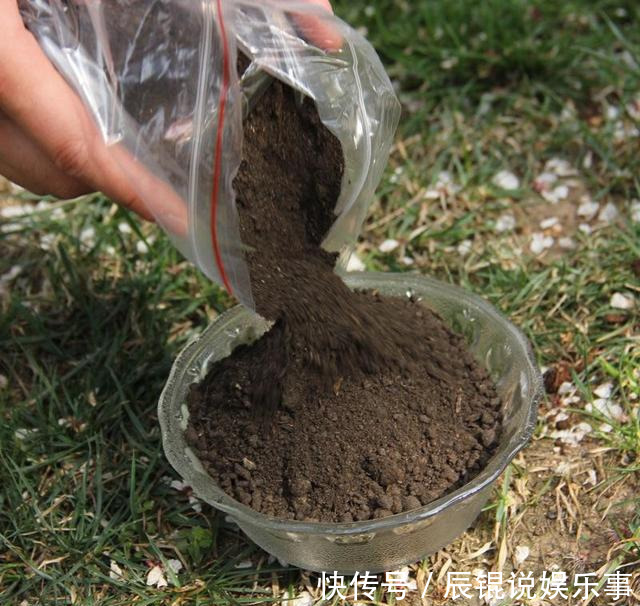 6种“垃圾”不要扔,拿来养花效果棒,省下一笔钱,废物又利用