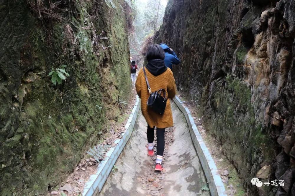 更喜南山千倾野，卅公里后尽开颜