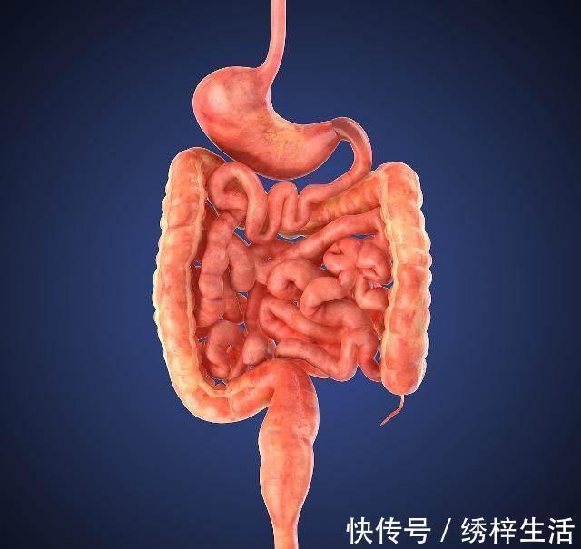 走路锻炼|每天走路锻炼，一段时间后，身体的4个毛病可能会远离你