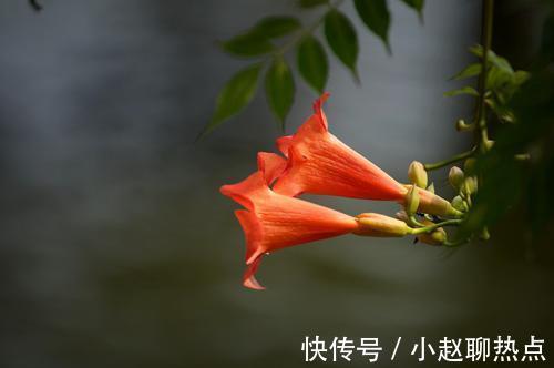 飙升|7月份，桃花运势大涨，异性缘飙升，两人情感迅速升温的生肖