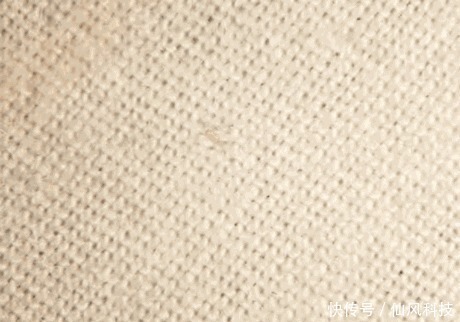 螨虫|90的人都在陪螨虫睡觉螨虫最怕3种东西,好好利用,螨虫跑光光