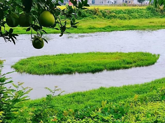 桃花江地名趣谈小桃花江