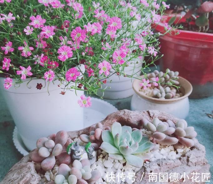 养花换下来的旧土别扔，加4种东西，比新土还好用