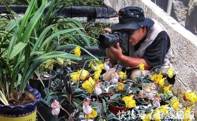 三节桫|游乐业天坑群你仅仅简易地看景色乐业的镇山之宝并非景色