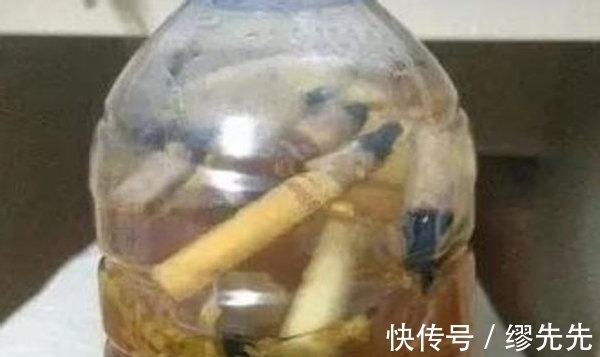 杀虫|养花生虫，试试这4样“家庭好物”，保你轻松驱虫杀虫