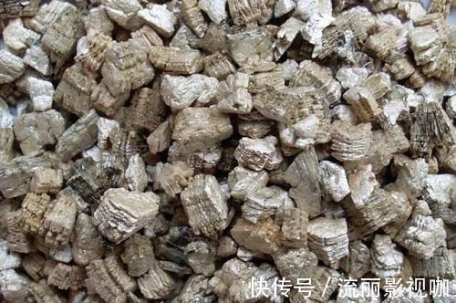 黑云母|这种养花好料知道的人很少,土里加一点透气又保温,扦插时也有用