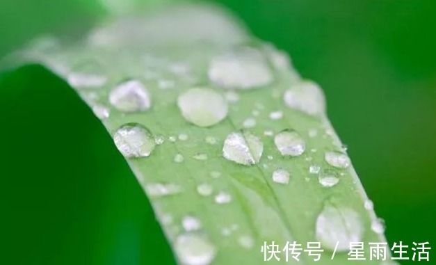 红豆|头顶上有个“祛湿穴”,每天一按,排湿气,健脾胃,失眠改善了