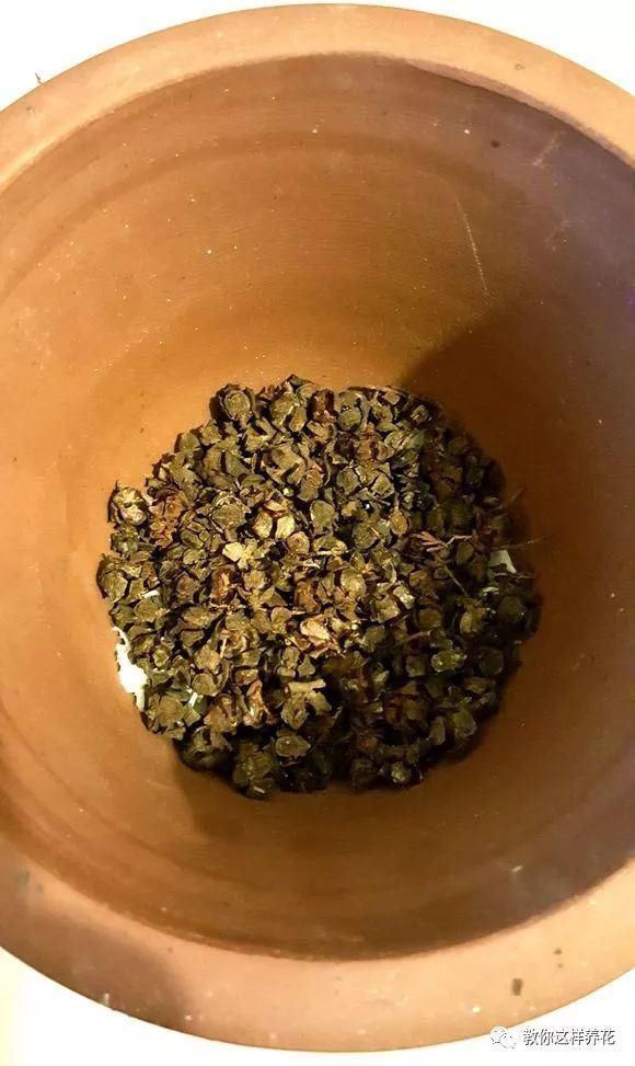 4种“壳”每家都有,丢盆里疏松透气,2年不用换盆,长得旺!