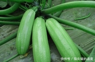 散结|5月多吃这些野菜,治糖尿病、防癌、补肾、消肿散结,有钱都难买