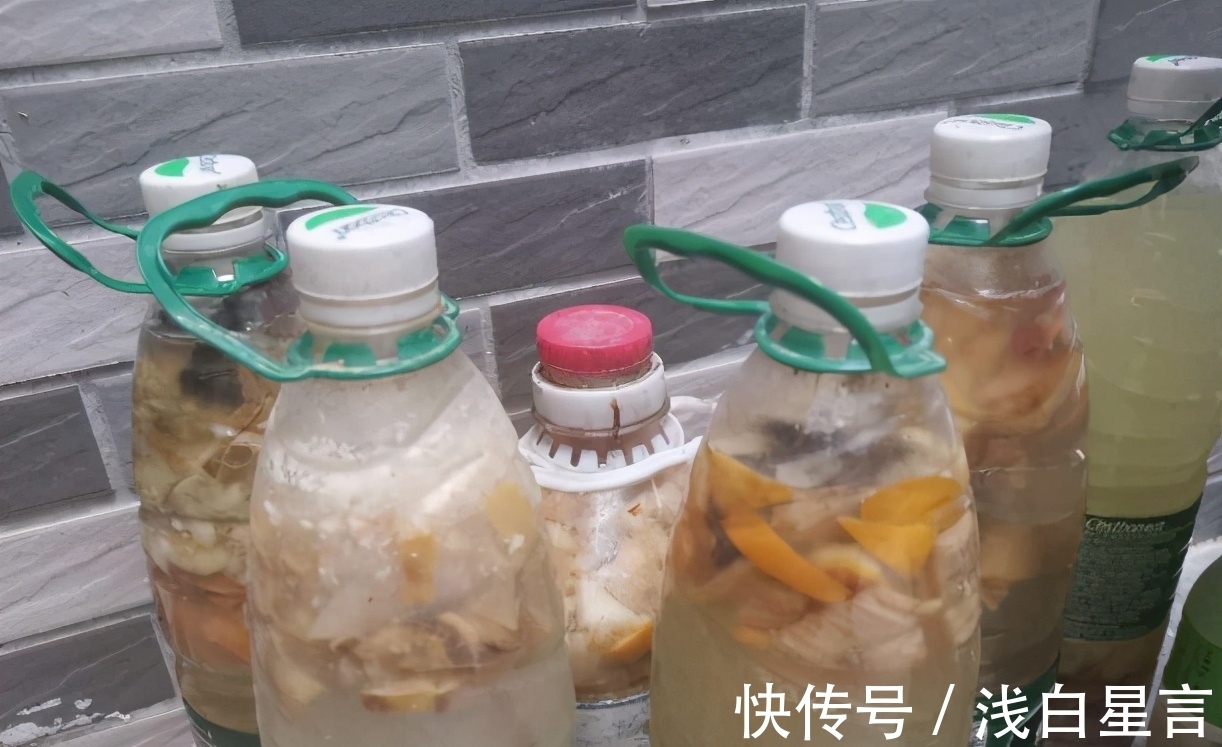 土壤|光用淘米水浇花没前途,加它们发酵好,养啥花都长得贼旺盛