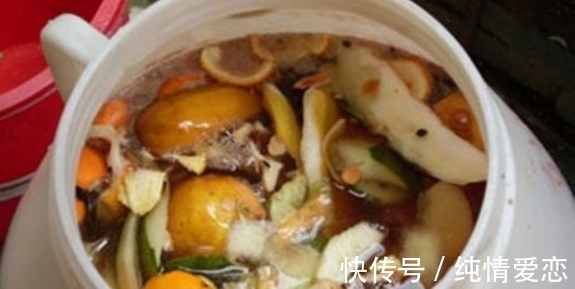 养花自制肥料:该怎么用好柳树皮,挖掘其中的价值?