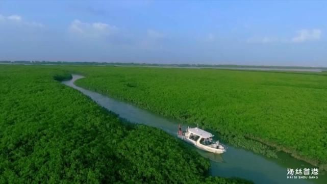 坐落南流江入海口！投资20.8亿海丝首港设计震撼！