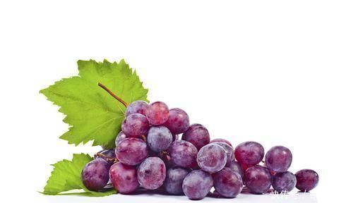 營養(yǎng)物質(zhì)|4種食物最招身體喜歡,中老年人日常多吃,對身體是非常有好處的