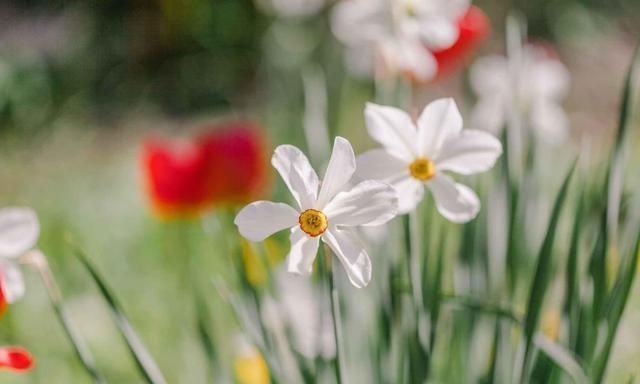 伤疤@与人相处,牢记这三点的处世之道,人生路越走越宽。