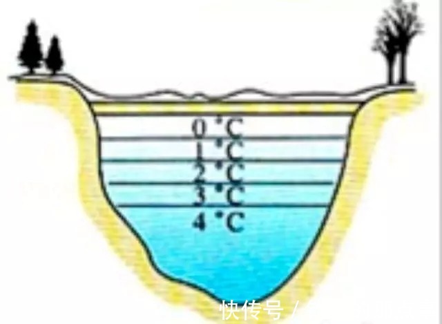 地热|早春野钓鲫鱼“黄金”水深,是深水还是浅水,看看就知道选钓位了