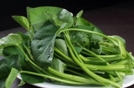 胰岛“不好”的人,经常吃这3种食物,降糖又稳糖,越吃越健康