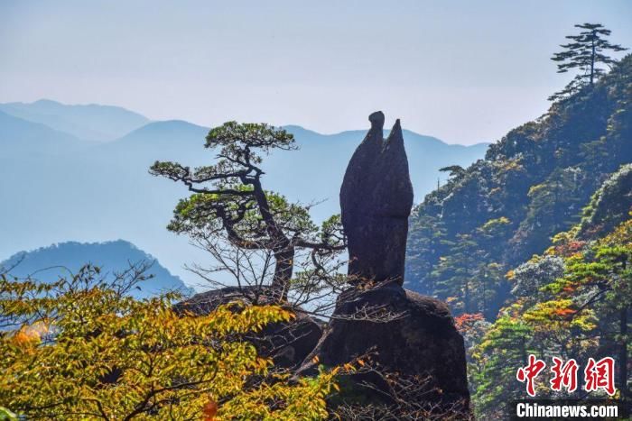 安徽|深秋时节安徽黄山秋色斑斓入画图