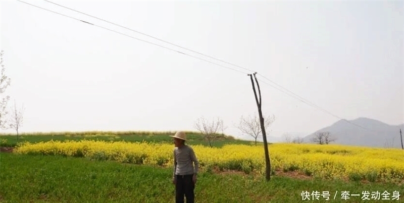 土地|93岁老人一家人住悬崖山上，半世纪开垦30亩荒地，收集雨水吃一年