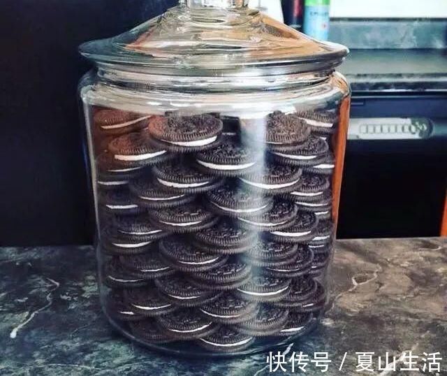 照片&这些照片巧妙得非常艺术,处女座看了很过瘾,连蛇也有“强迫症”