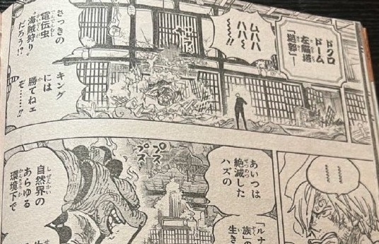 耕三郎|海贼王1033话图透:索隆回忆顿悟,征服阎魔,霸王色来得刚好