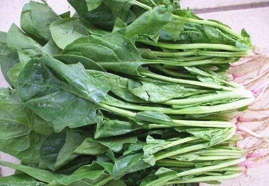 柠檬|12岁男童身高已有180公分,医生:这3物是身高的助长剂,别不舍得