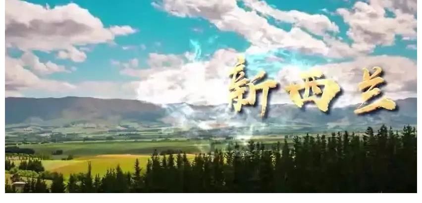 三农|主持人小超（孙希超）：身在田间地头的主持人