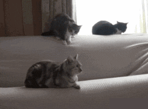 |搞笑GIF:高空翻栏杆还穿高跟鞋???