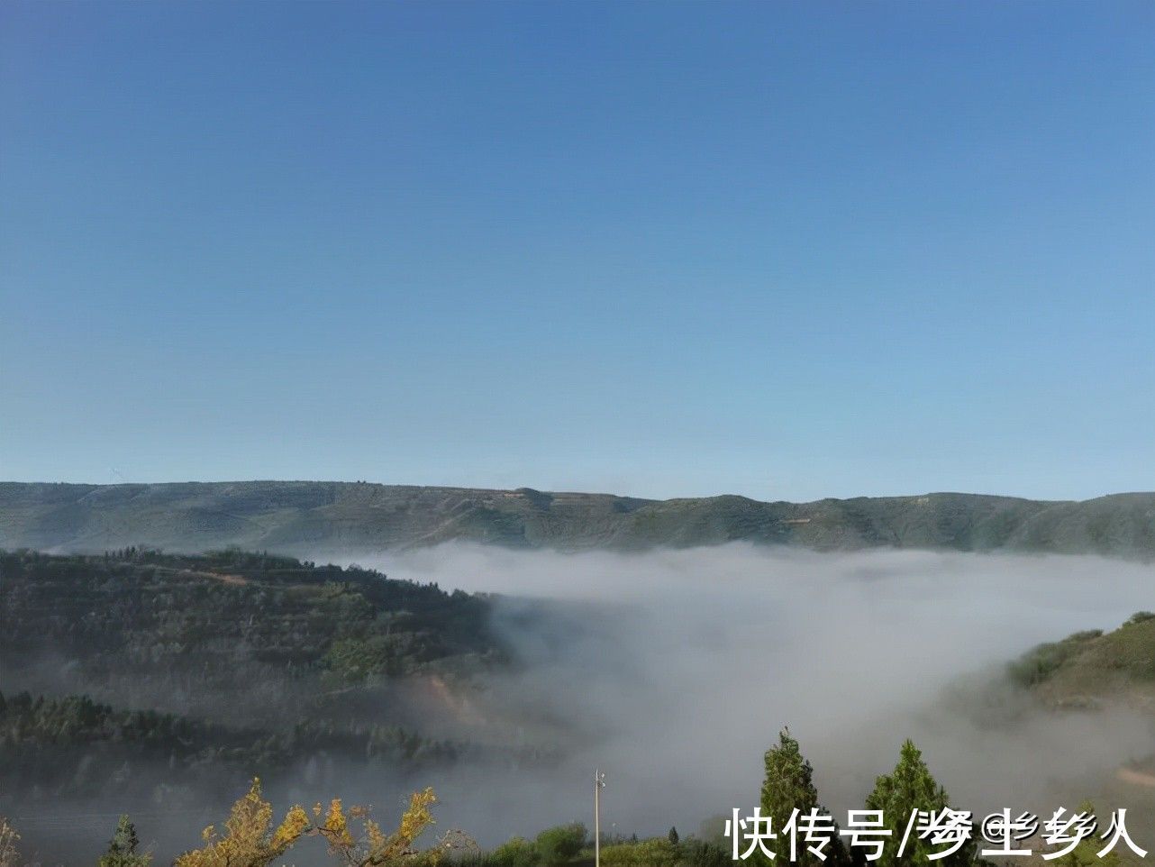 古人#古人说:“藏象”合一,万物皆成,是啥意思?藏和象指的是啥?