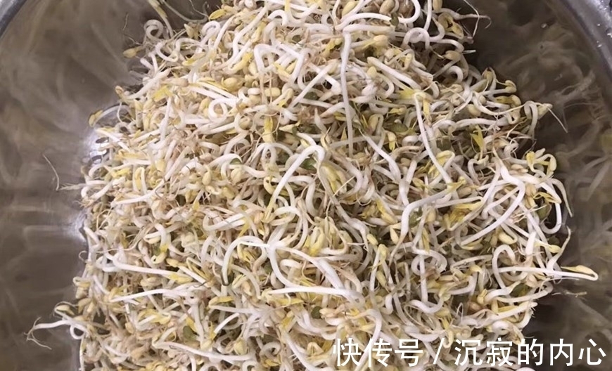 想吃豆芽不用买,教你自己在家种,4天一茬,随吃随种,特省事