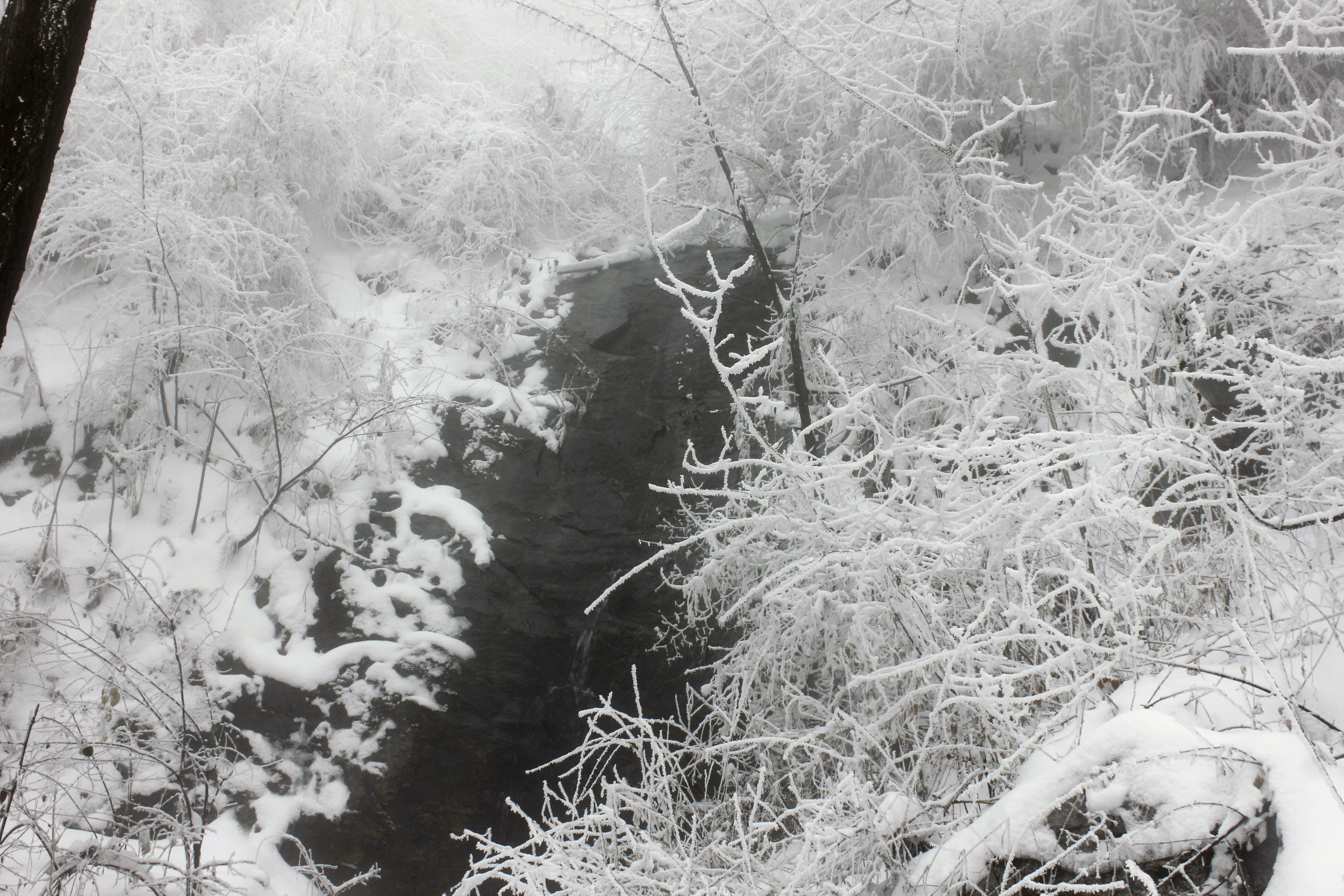 征集|【年末福利征集】雪后南五台幸遇云海