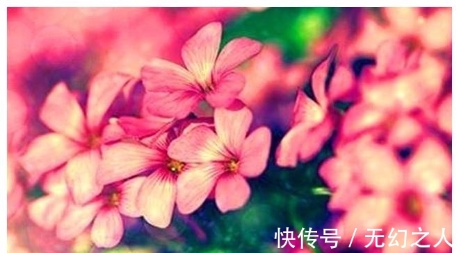 双鱼男|6月22日起，吉星入命，财源滚滚，运势节节攀升的4大生肖