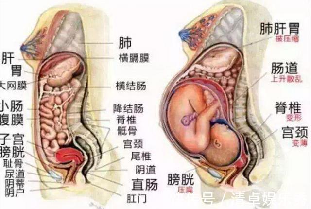 准妈咪|生产后一小时内，身体都有哪些变化？感慨母爱的伟大