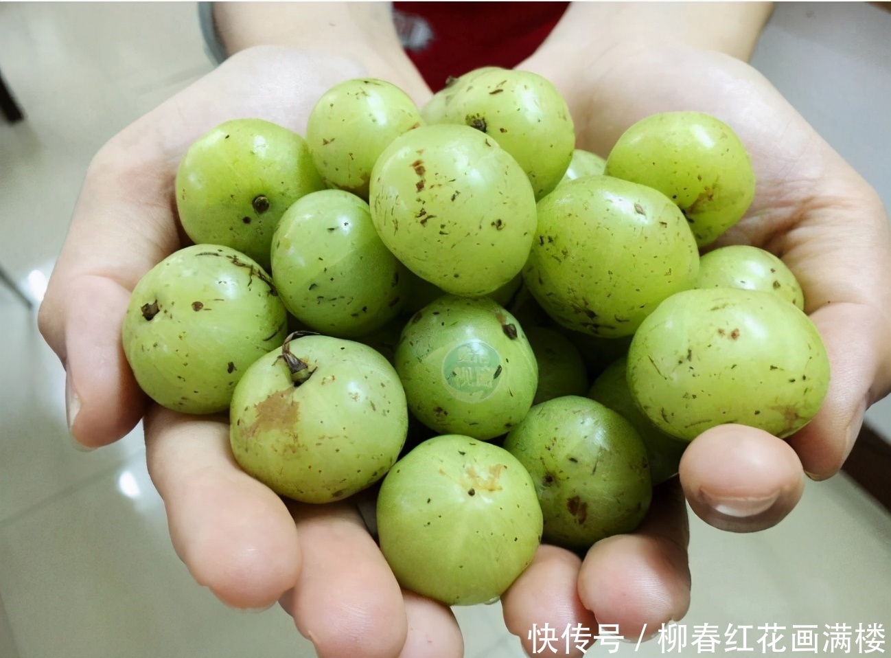 冬天來了，多吃以下3種食物，滋潤肌膚、去除皺紋、瘦身纖體