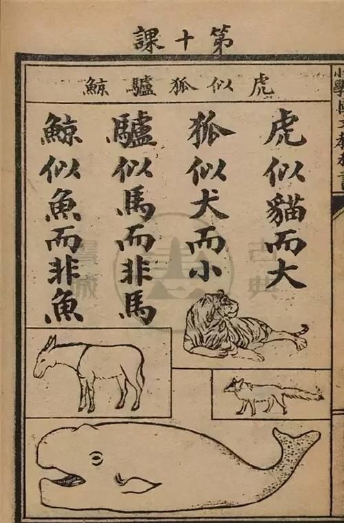  超前|100年前清朝小学语文课本是怎样的？理念超前，印刷精美